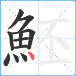 魾笔顺分解图片11