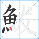 鮁笔顺分解图片10