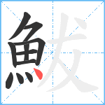 鮁笔顺分解图片11