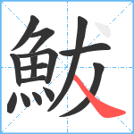 鮁笔顺分解图片15