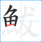 鮁笔顺分解图片7
