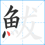 鮁笔顺分解图片9