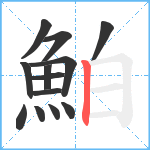 鮊笔顺分解图片13