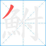 鮒笔顺分解图片1