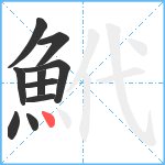 鮘笔顺分解图片10