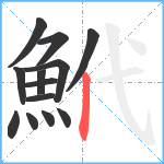 鮘笔顺分解图片13