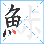 鮛笔顺分解图片10