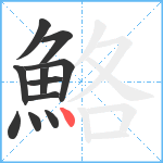 鮥笔顺分解图片11