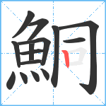 鮦笔顺分解图片15