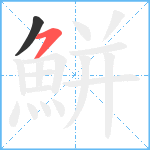 鮩笔顺分解图片2