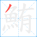 鮪笔顺分解图片1