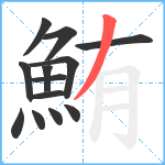 鮪笔顺分解图片13