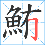 鮪笔顺分解图片15