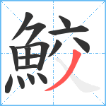 鮫笔顺分解图片16