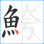 鮬笔顺分解图片11