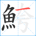 鮬笔顺分解图片12