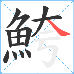 鮬笔顺分解图片14