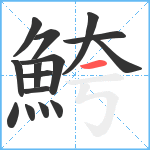 鮬笔顺分解图片15