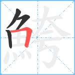 鮬笔顺分解图片4