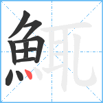 鮿笔顺分解图片10