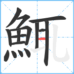 鮿笔顺分解图片16