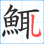 鮿笔顺分解图片18