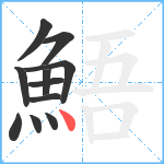 鯃笔顺分解图片11