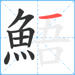 鯃笔顺分解图片12