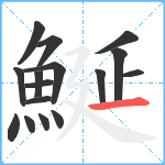 鯅笔顺分解图片16