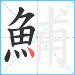鯆笔顺分解图片11