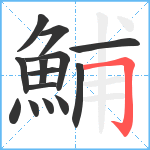 鯆笔顺分解图片14