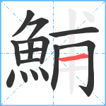 鯆笔顺分解图片15