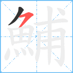 鯆笔顺分解图片2