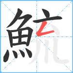 鯍笔顺分解图片14