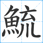 鯍笔顺分解图片19