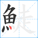 鯐笔顺分解图片10