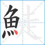鯐笔顺分解图片11