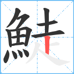 鯐笔顺分解图片15