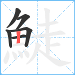 鯐笔顺分解图片6