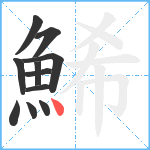 鯑笔顺分解图片11