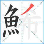 鯑笔顺分解图片12