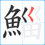 鯔笔顺分解图片13