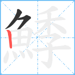 鯚笔顺分解图片3