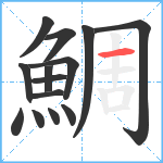 鯛笔顺分解图片14