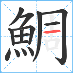 鯛笔顺分解图片15