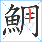 鯛笔顺分解图片16