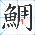 鯛笔顺分解图片17