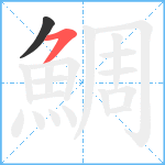 鯛笔顺分解图片2