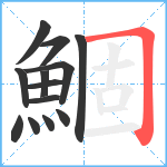 鯝笔顺分解图片13