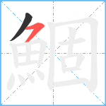 鯝笔顺分解图片2